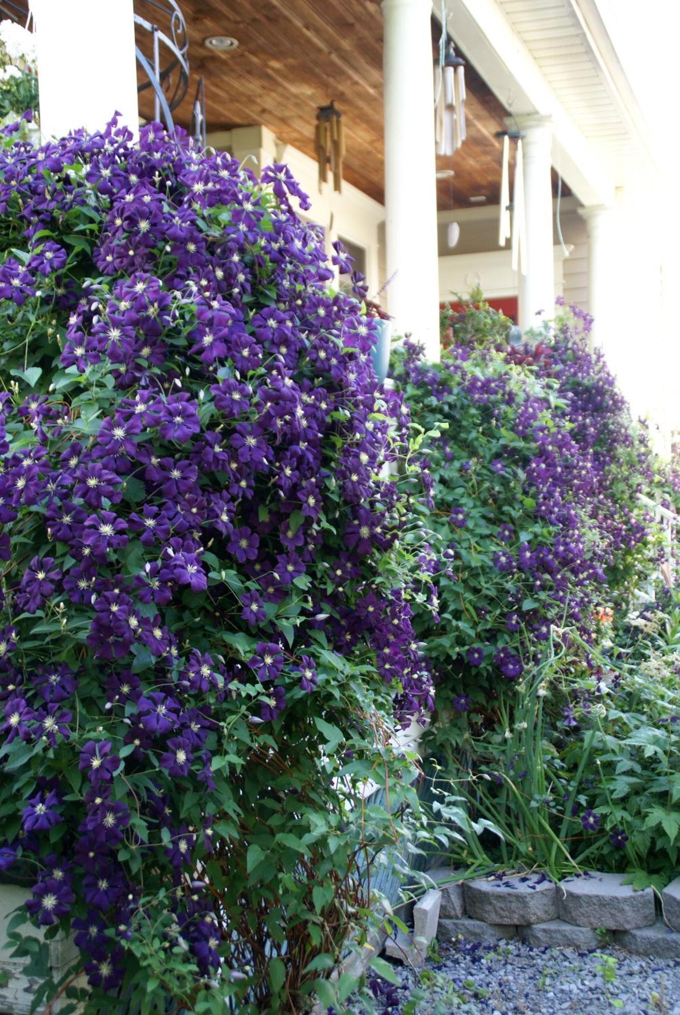 Globetrotters B&B Niagara-on-the-Lake ภายนอก รูปภาพ